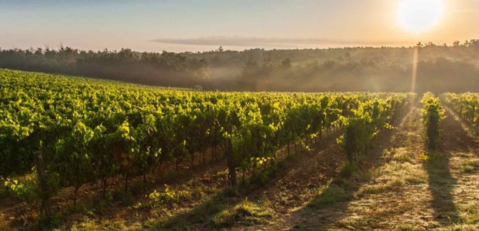 Read more about Corsica