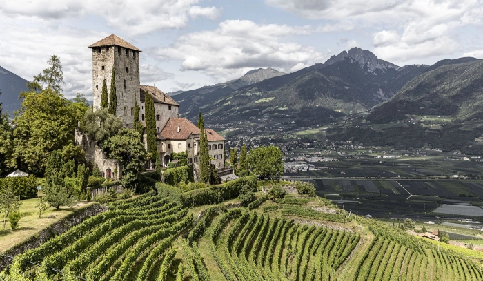 Why You Should Be Stocking Up On The Alpine Wines Of Alto Adige