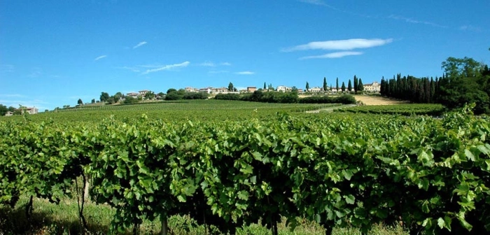 Read more about Custoza