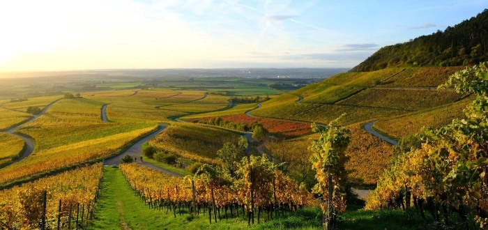 Read more about Franconia