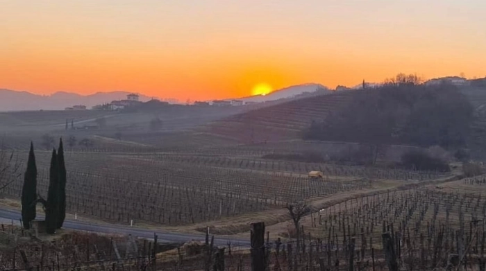 Read more about Primorska