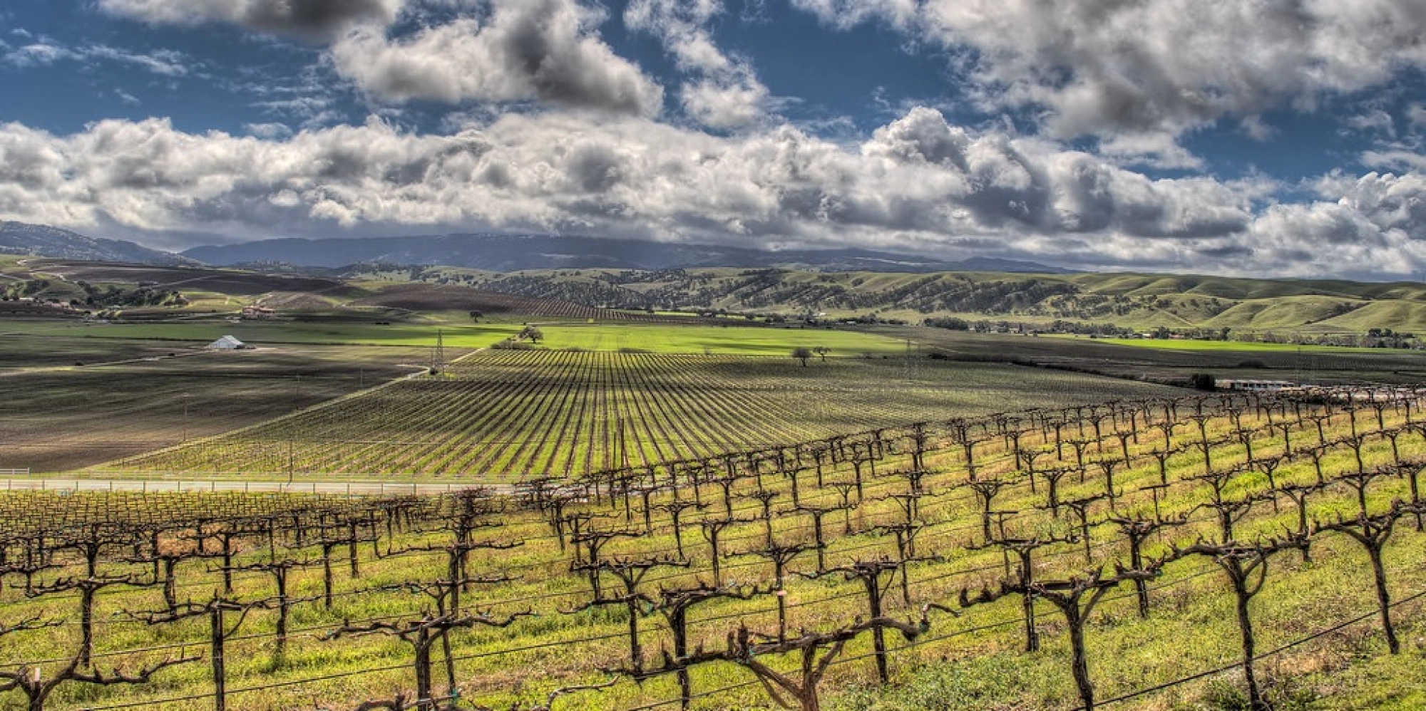 Livermore Valley