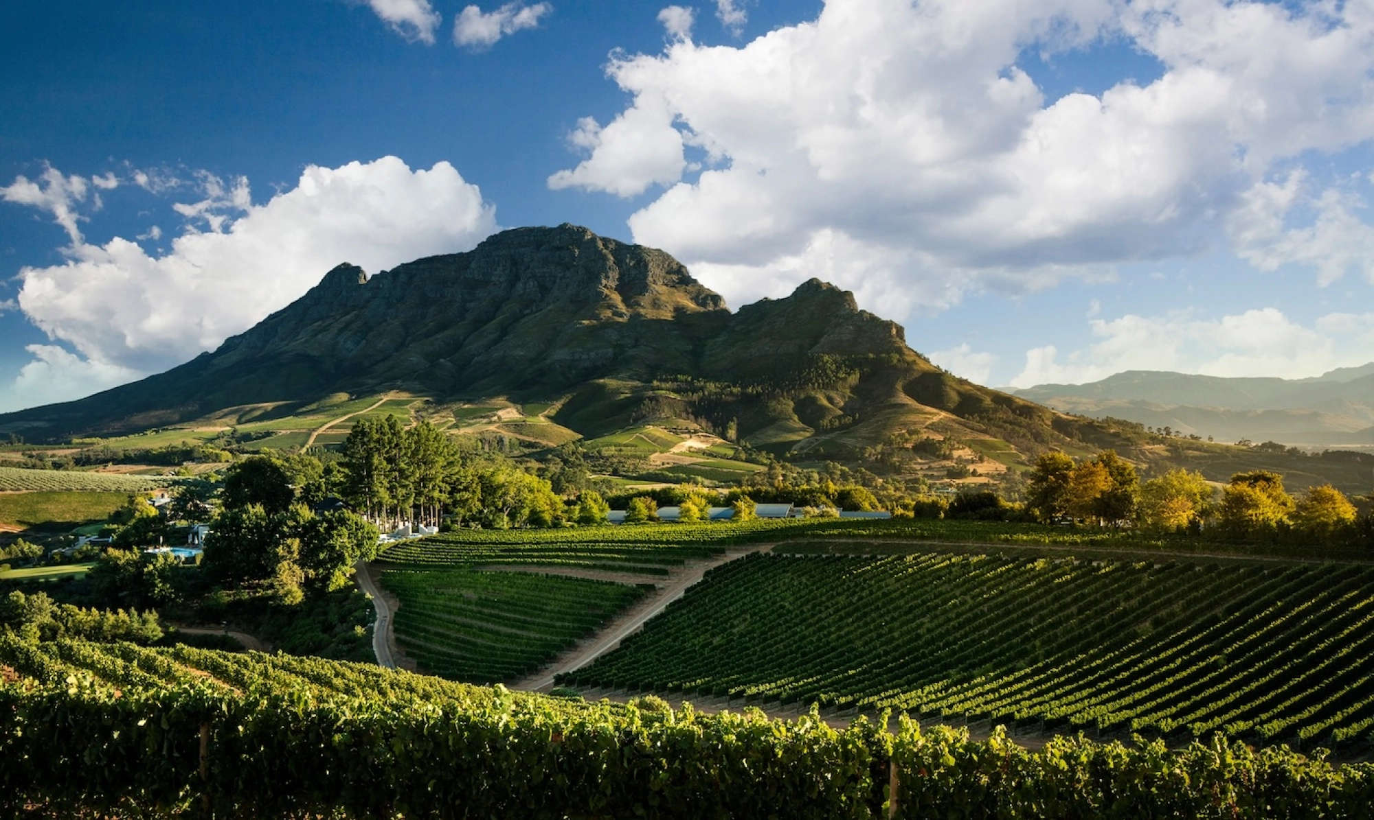Stellenbosch