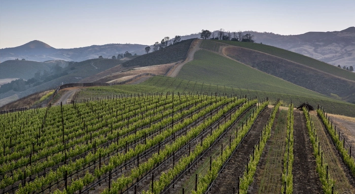 Read more about Happy Canyon of Santa Barbara