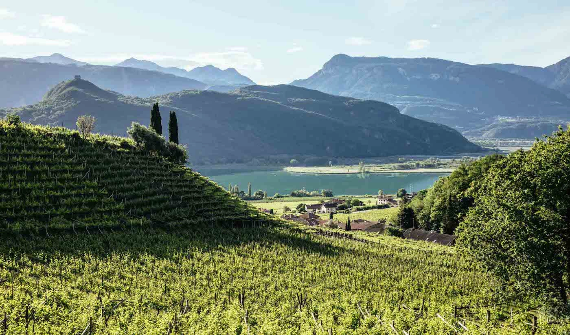 Image courtesy of Alto Adige DOC