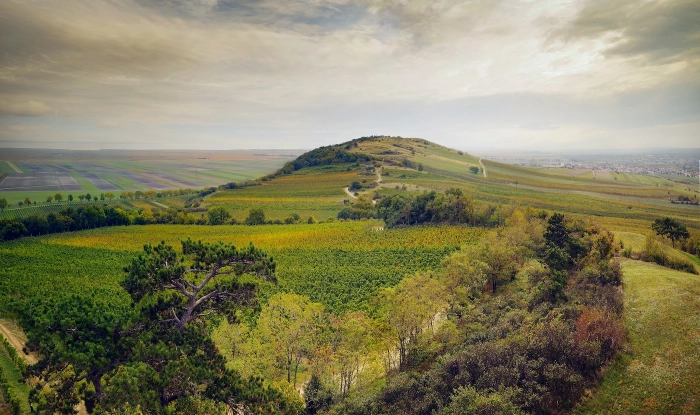 Read more about Leithaberg