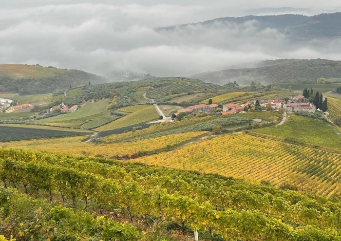 Read more about Verona