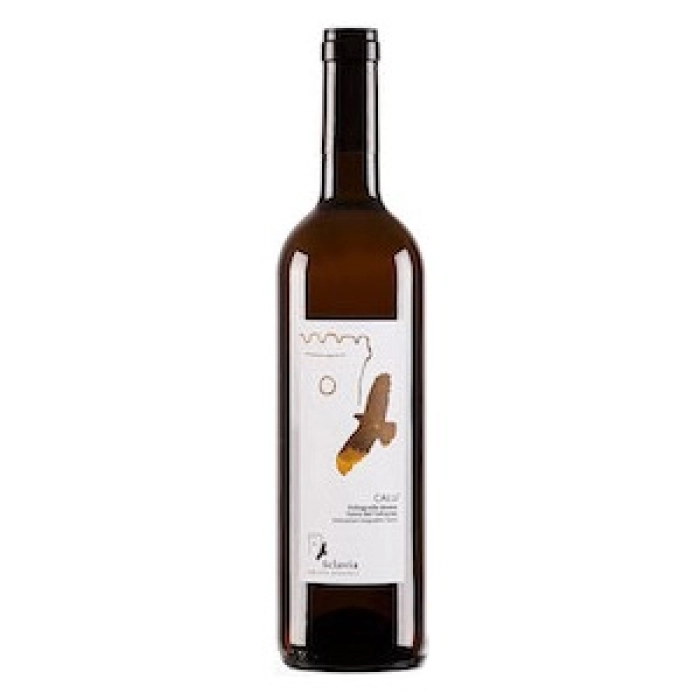 Terre del Volturno IGP 