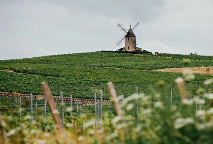 Read more about 10 Moulin-a-Vent to try